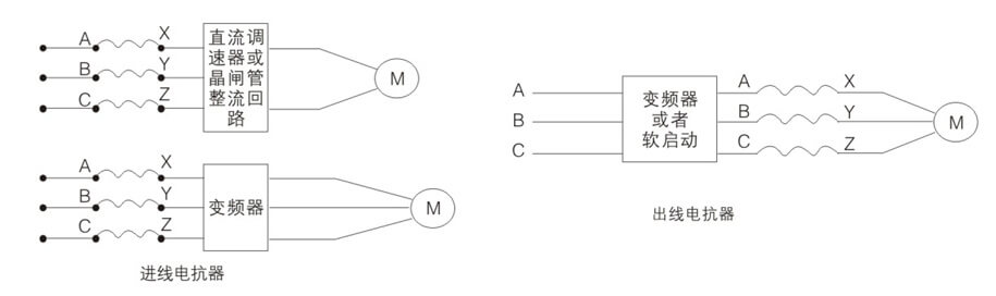 YLLK-2.jpg